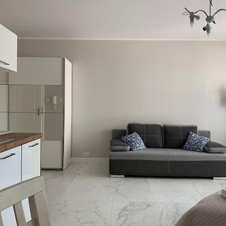 Apartament Sloneczny コウォブジェク エクステリア 写真