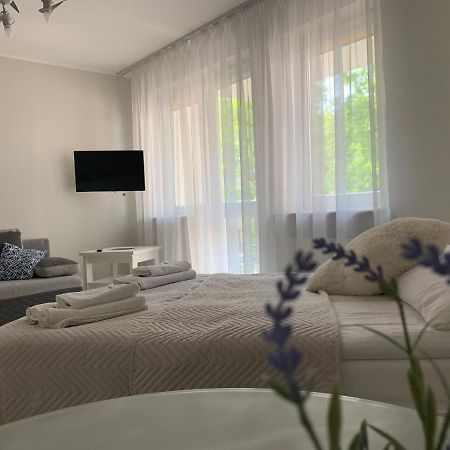 Apartament Sloneczny コウォブジェク エクステリア 写真